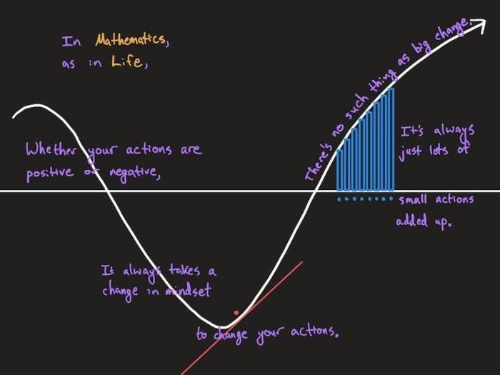 Ap calc ab unit 6 progress check mcq part a