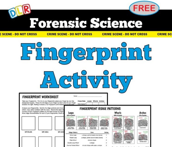 Printable forensic science worksheets pdf