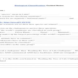 Classification of matter answer key pogil