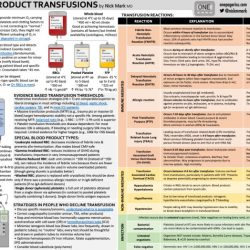 Blood types and transfusions worksheet