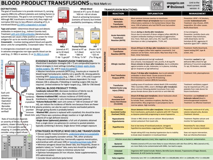 Blood types and transfusions worksheet