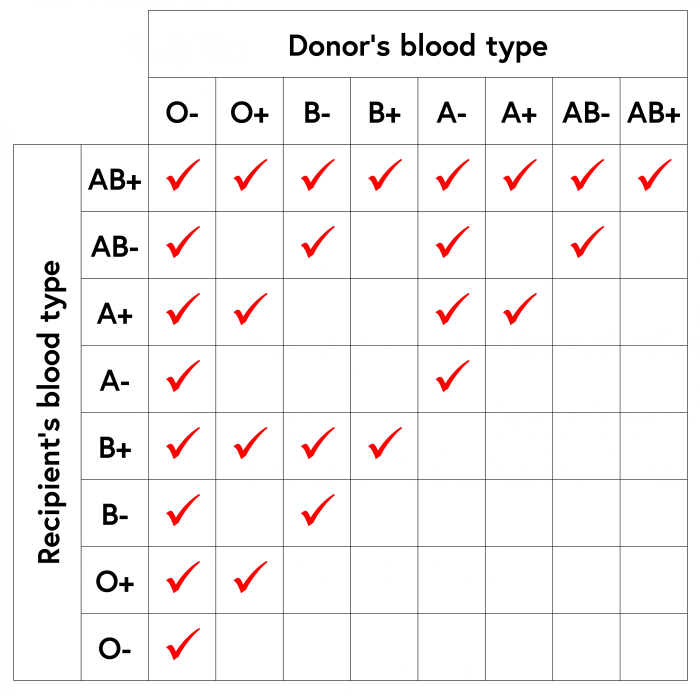 Blood types and transfusions worksheet