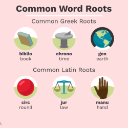 Words with the root word cap