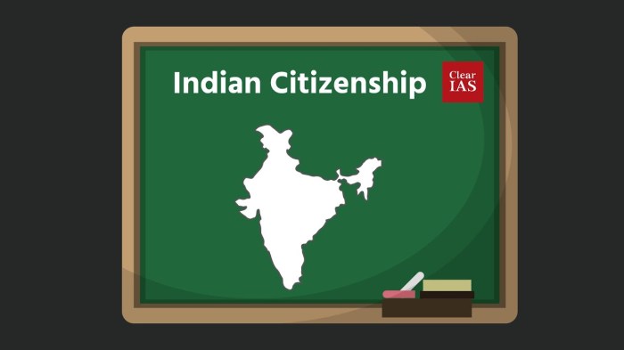 Icivics citizenship just the facts