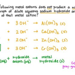 N2o complexes ion isomers molecule insertion