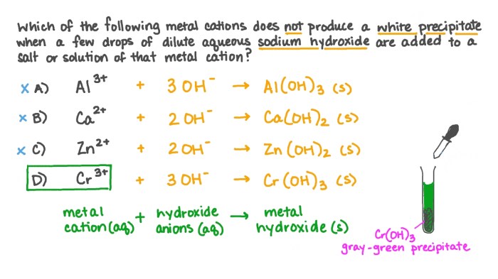 N2o complexes ion isomers molecule insertion