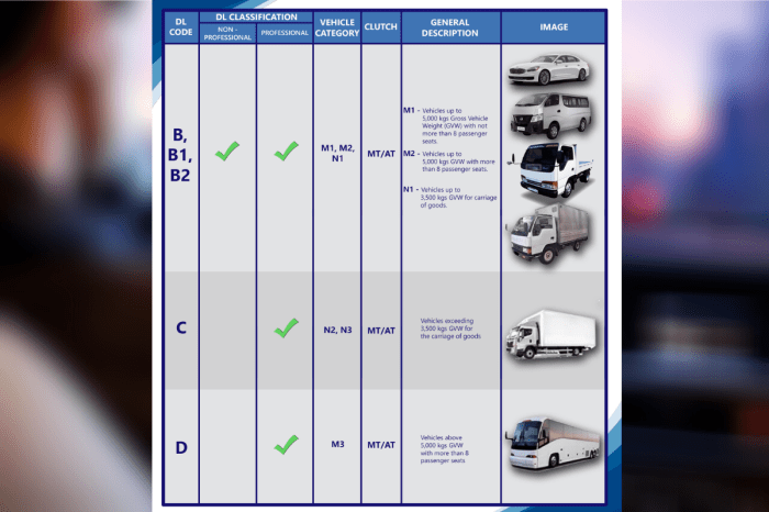 License driver lto restriction restrictions ph know behind valid mean each need