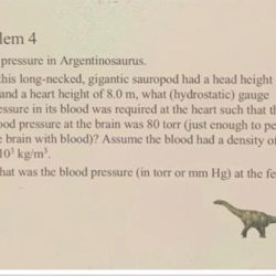 Dinosaurs dinosaurus argentinosaurus extinction unusually lightweight huge ontdekt nieuwe newscientist