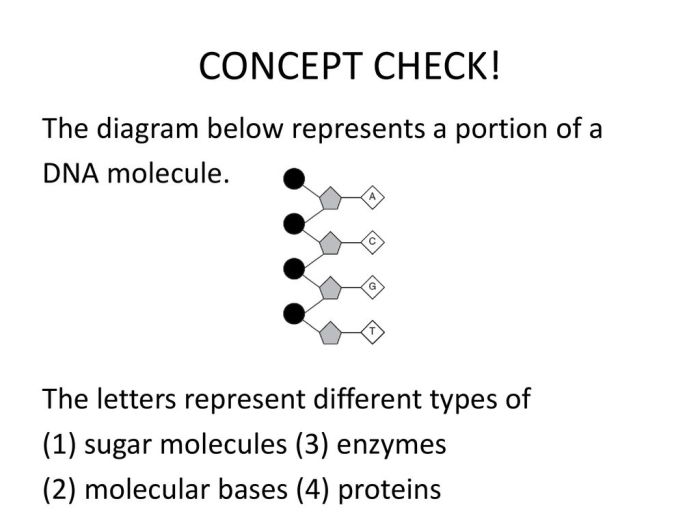 Represents hormone answer molecule sugar