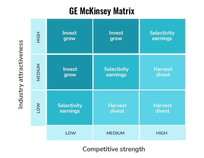 The nine cell industry attractiveness competitive strength matrix