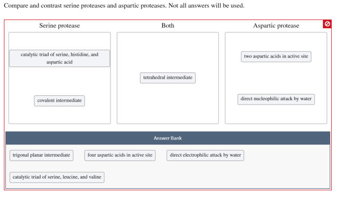 Compare and contrast serine proteases and aspartic proteases